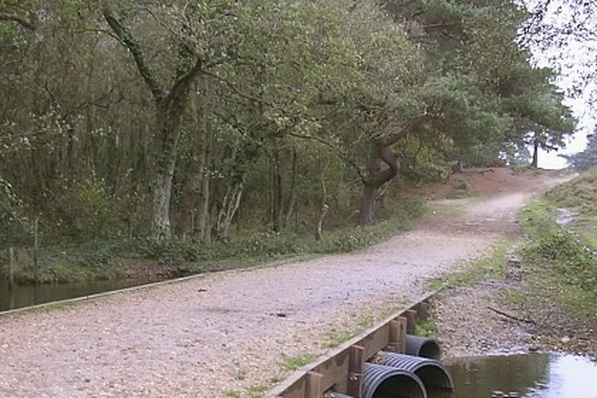Sendero vacío sin personas